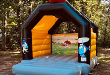 Blue-Tec,  Feuerwerk, Lasershow, Beamshow, Lasershow Dessau, Grafikshow, Grafiklasershow, Hochzeit Lasershow, Fotobox, Fotobox Dessau, Disco, DJ, Hüpfburg 